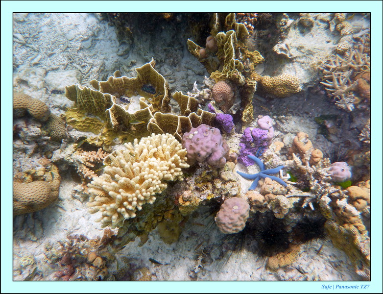 209   07   Sibuan 10